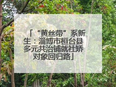 “黄丝带”系新生：淄博市桓台县多元共治铺就社矫对象回归路