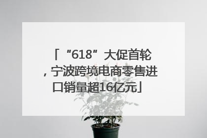 “618”大促首轮，宁波跨境电商零售进口销量超16亿元
