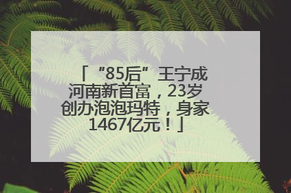 “85后”王宁成河南新首富，23岁创办泡泡玛特，身家1467亿元！