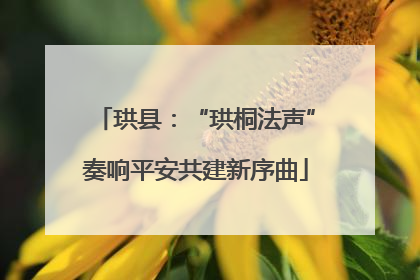 珙县：“珙桐法声”奏响平安共建新序曲