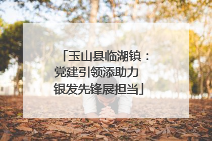 玉山县临湖镇：党建引领添助力 银发先锋展担当