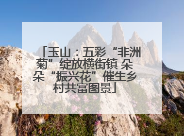 玉山：五彩“非洲菊”绽放横街镇 朵朵“振兴花”催生乡村共富图景
