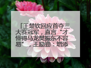 王楚钦回应首夺三大赛冠军，直言“才懂得马龙樊振东不容易”，王励勤：增添很大信心