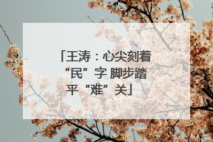 王涛：心尖刻着“民”字 脚步踏平“难”关