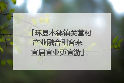 环县木钵镇关营村 产业融合引客来 宜居宜业更宜游