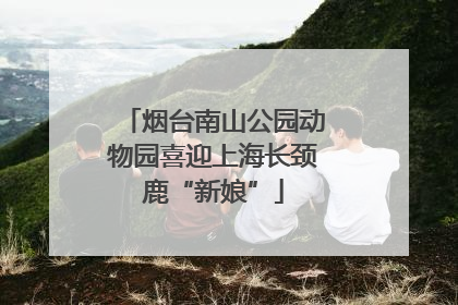 烟台南山公园动物园喜迎上海长颈鹿“新娘”