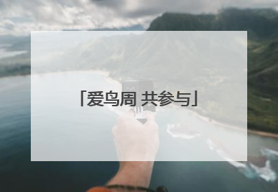 爱鸟周 共参与