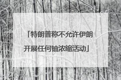 特朗普称不允许伊朗开展任何铀浓缩活动
