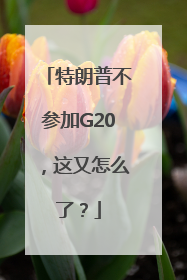 特朗普不参加G20，这又怎么了？