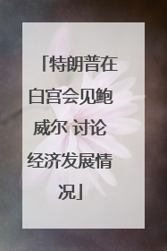 特朗普在白宫会见鲍威尔 讨论经济发展情况