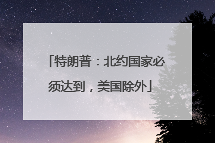 特朗普：北约国家必须达到，美国除外