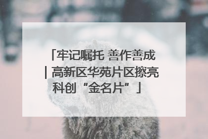 牢记嘱托 善作善成｜高新区华苑片区擦亮科创“金名片”