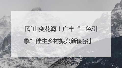 矿山变花海！广丰“三色引擎”催生乡村振兴新图景