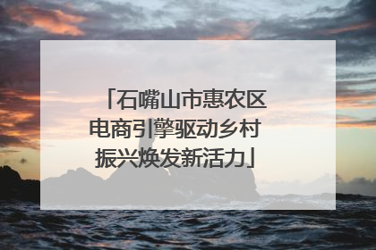 石嘴山市惠农区电商引擎驱动乡村振兴焕发新活力