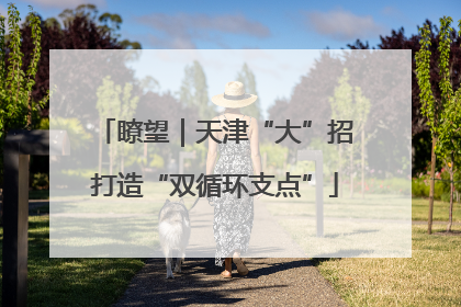 瞭望｜天津“大”招打造“双循环支点”