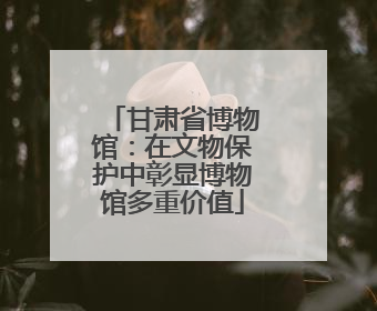 甘肃省博物馆：在文物保护中彰显博物馆多重价值