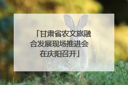 甘肃省农文旅融合发展现场推进会在庆阳召开