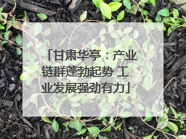 甘肃华亭：产业链群蓬勃起势 工业发展强劲有力