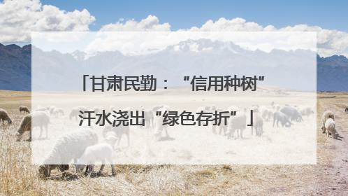 甘肃民勤：“信用种树” 汗水浇出“绿色存折”