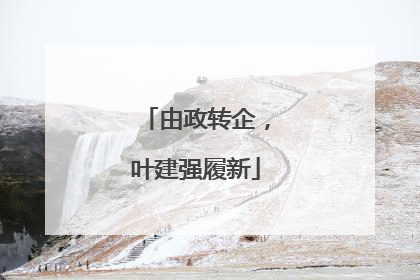 由政转企，叶建强履新