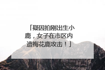 疑因拍刚出生小鹿，女子在市区内遭梅花鹿攻击！