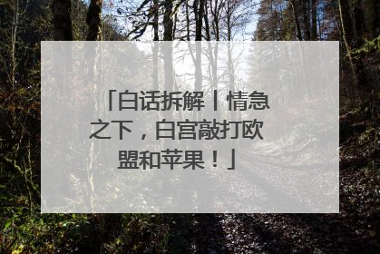 白话拆解丨情急之下，白宫敲打欧盟和苹果！