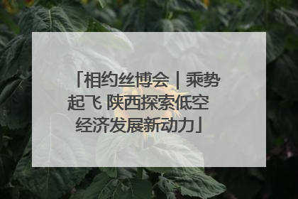 相约丝博会｜乘势起飞 陕西探索低空经济发展新动力