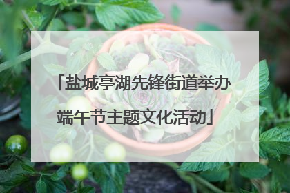 盐城亭湖先锋街道举办端午节主题文化活动