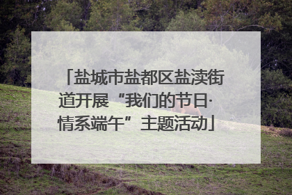 盐城市盐都区盐渎街道开展“我们的节日·情系端午”主题活动