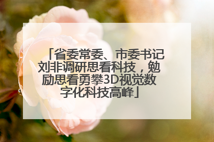 省委常委、市委书记刘非调研思看科技，勉励思看勇攀3D视觉数字化科技高峰