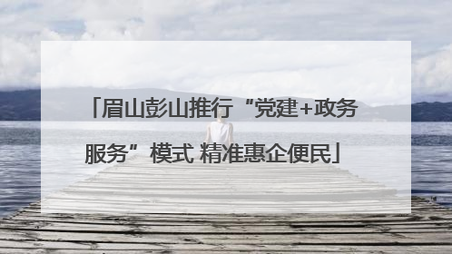 眉山彭山推行“党建+政务服务”模式 精准惠企便民