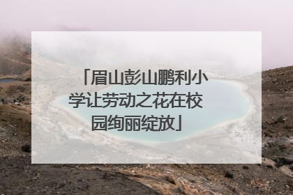 眉山彭山鹏利小学让劳动之花在校园绚丽绽放