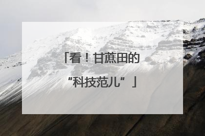 看！甘蔗田的“科技范儿”