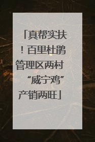 真帮实扶！百里杜鹃管理区两村“威宁鸡”产销两旺