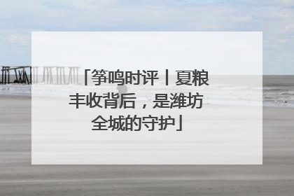 筝鸣时评丨夏粮丰收背后，是潍坊全城的守护
