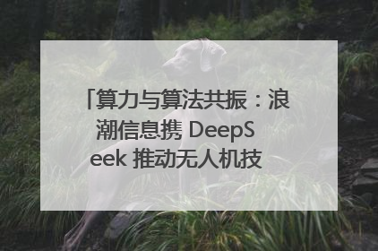 算力与算法共振：浪潮信息携 DeepSeek 推动无人机技术在舟山落地