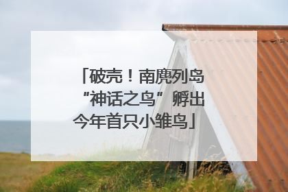 破壳！南麂列岛“神话之鸟”孵出今年首只小雏鸟