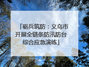 砺兵筑防：义乌市开展全链条防汛防台综合应急演练