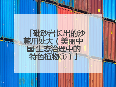 砒砂岩长出的沙棘用处大（美丽中国·生态治理中的特色植物③）