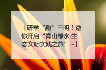 研学“趣”三明！邀你开启“青山绿水·生态文明实践之旅”~