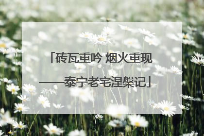 砖瓦重吟 烟火重现——泰宁老宅涅槃记