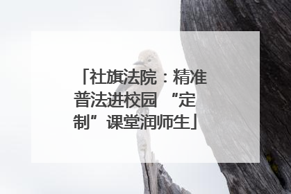 社旗法院：精准普法进校园 “定制”课堂润师生