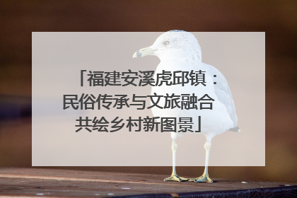 福建安溪虎邱镇：民俗传承与文旅融合共绘乡村新图景