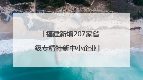 福建新增207家省级专精特新中小企业