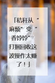 秸秆从“麻烦”变“香饽饽” 打捆回收这波操作太赚了！