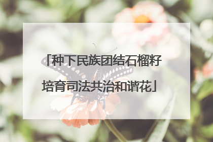种下民族团结石榴籽 培育司法共治和谐花