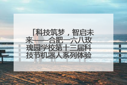 科技筑梦，智启未来——合肥一六八玫瑰园学校第十三届科技节机器人系列体验赛燃动校园