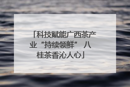 科技赋能广西茶产业“持续领鲜” 八桂茶香沁人心