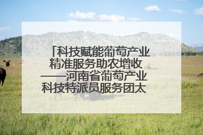 科技赋能葡萄产业 精准服务助农增收——河南省葡萄产业科技特派员服务团太康县科技服务纪实