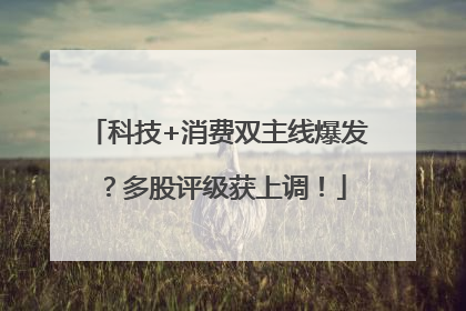 科技+消费双主线爆发？多股评级获上调！